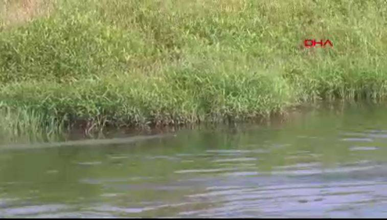 Seyhan Nehri’nin rengi değişti. Bu görüntünün sebebi ne? - Resim: 3